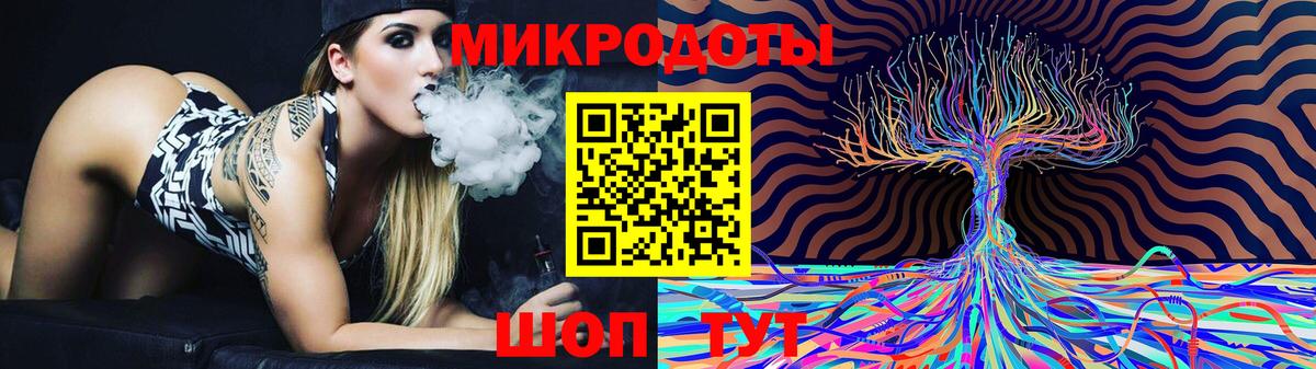 Псилоцибиновые грибы Psilocybine cubensis Кулебаки